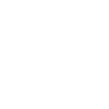 The fans from Denmark
