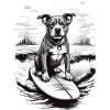 Chien surfeur en noir et blanc