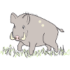 Wildschwein