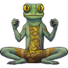 Chameleon Yoga / Yogi Chameleon