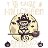 Is Halloween enough witch cat