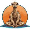 Kamel Yoga