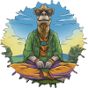 Camel Yoga