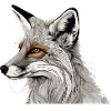 Fuchs