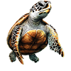 Turtle Reptile Lover Cute Turtles