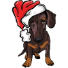 Christmas dachshund in comic style