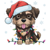 Affenpinscher Christmas lights