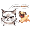 Chat et chien - laissez-moi !