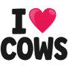 Cow Cows