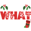Christmas Oh What Fun