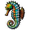 Hippocampe
