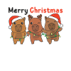 Capybara Christmas Winter Animals Capybara