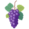 Grapes