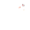 No animal is indifferent Pro Vegan Vegetarian Animal Welfare
