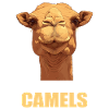 Camel Kamele Kamel