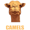 Camel Kamele Kamel