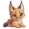Caracal Karakale Karakal