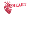 Cardiologist Kader