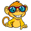 Cool Monkey Sunglasses Design