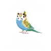 Méfiez-vous des perruches passives agressives
