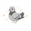 Taube Tauben Tier Vogel