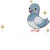Pigeon Pigeons Animal Oiseau