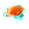 Cute Cichlid Fish