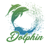 Awesome Dolphin