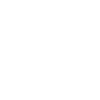 Parrot Definition