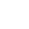Perfectionist Detail Detective