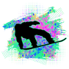 Snowboard