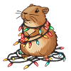 Funny Capybara Christmas Christmas