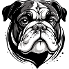 BULLDOG