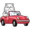 Voiture chat persan