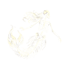 Skeleton Mermaid Mystical Fantasy Art