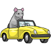 Rat Car