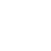 Lion tribal