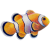 Poisson-clown