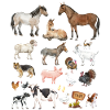 Farm Animals
