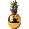 Disco Party Fruits, Pineapple