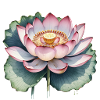 Flower Power