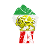Iranian Fist