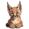 Caracal Karakale Karakal