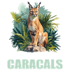 Caracal Karakale Karakal