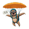 SLOTH SKY DIVING