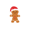 Cookie Tester