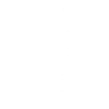 Lucky clover letter n
