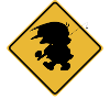 No kill fly fishing