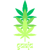 ganja t(h)ree