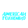 American Foxhound Owner Owner